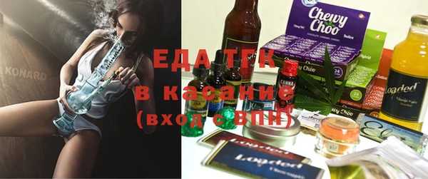 ECSTASY Белокуриха